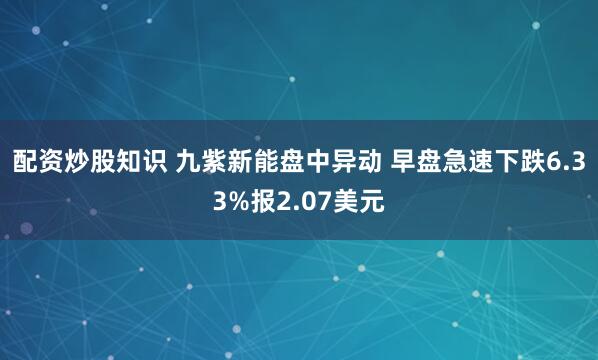 配资炒股知识 九紫新能盘中异动 早盘急速下跌6.33%报2.07美元