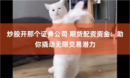 炒股开那个证券公司 期货配资资金：助你撬动无限交易潜力